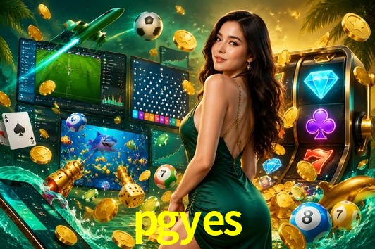 Experiência VIP pgyes