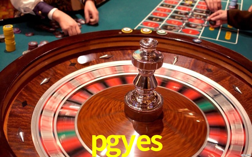 Interface Premium pgyes